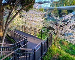 T16-18　ガーデンテラス紀尾井町　_1600