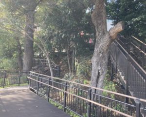 写真 2022-03-25 15 07 15